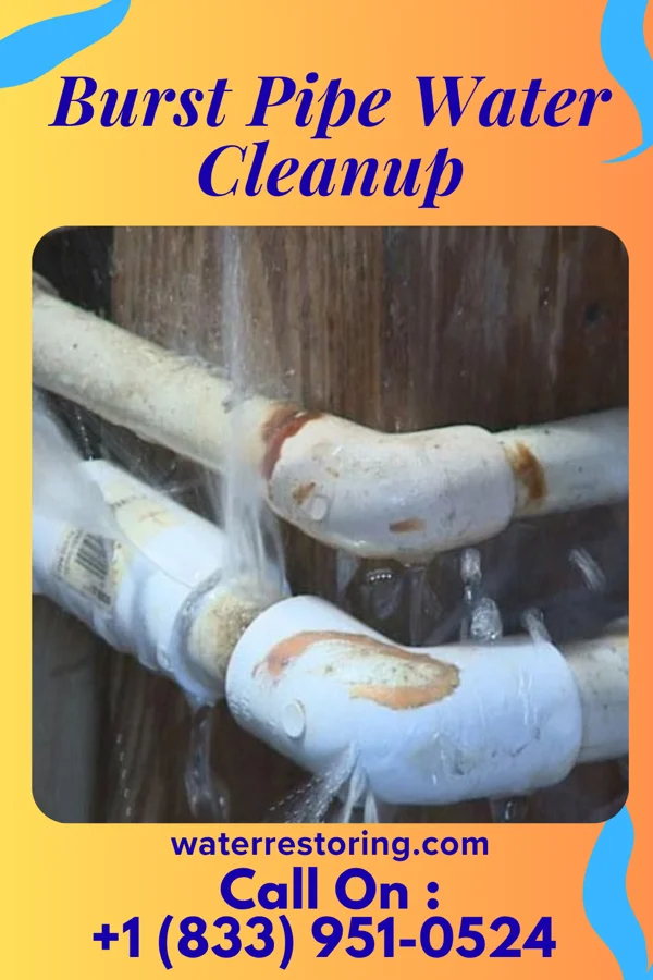 Burst Pipe Water Cleanup in Trumbauersville, PA
