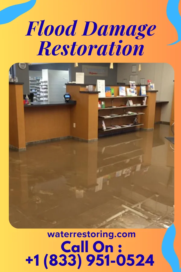 Flood Damage Restoration in Trumbauersville, PA