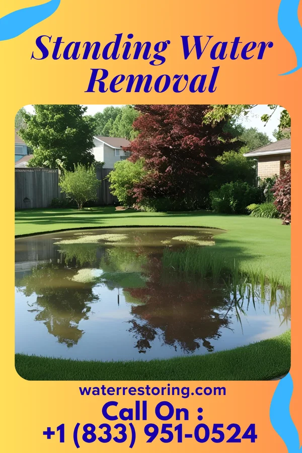 Standing Water Removal in Trumbauersville, PA